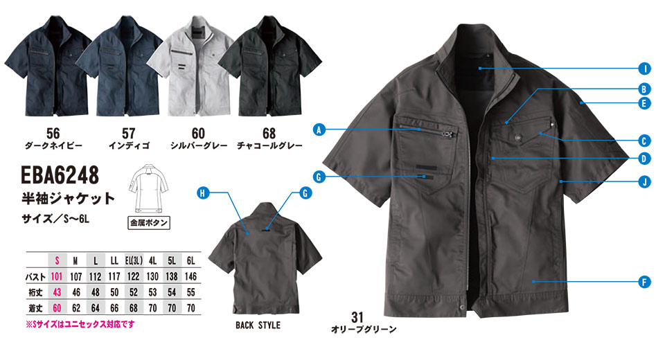 �r�b�O�{�[�� (BIG BORN) EARLY BIRD ARNO(��ƕ�)�@EBA6248/�����W���P�b�g