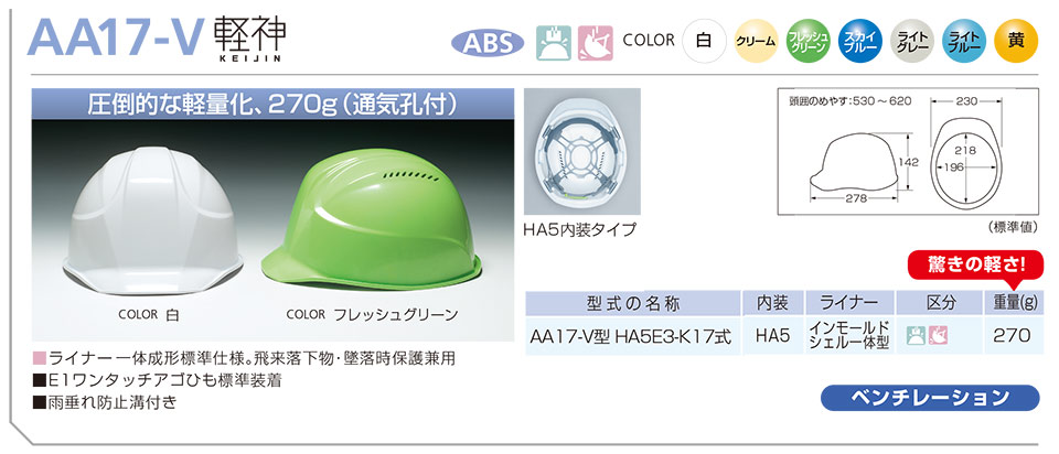 DIC�w�����b�g aa17-v