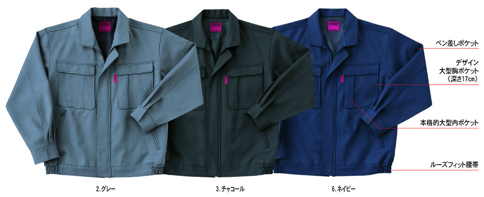 HOSHI-H(�z�V-H)�@�H�E�~�p��ƕ��@555/�u���]��