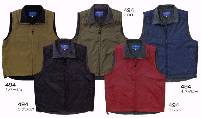 �h���x�X�g494�̉摜